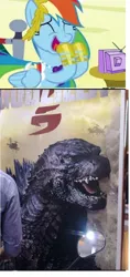 Size: 584x1240 | Tagged: derpibooru import, exploitable meme, godzilla, godzilla 2014, godzilla (series), kaiju, meme, obligatory pony, rainbow dash, safe, squee, tv meme