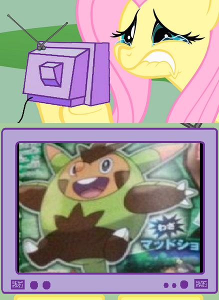 Size: 560x768 | Tagged: derpibooru import, exploitable meme, fluttercry, fluttershy, hariboogu, meme, obligatory pony, pokémon, pokémon x and y, quilladin, safe, tv meme