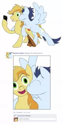 Size: 635x1258 | Tagged: safe, artist:stileelits, derpibooru import, big macintosh, braeburn, caramel, soarin', earth pony, pony, caramac, facebook, gay, male, shipping, soarburn, stallion