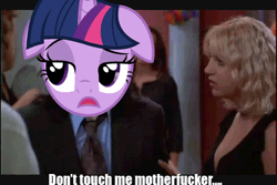 Size: 480x320 | Tagged: animated, caption, derpibooru import, don't touch me motherfucker, faic, get out, image macro, safe, smirk, text, the room, tommy wiseau, twiface, twilight sparkle, vulgar, wrong neighborhood
