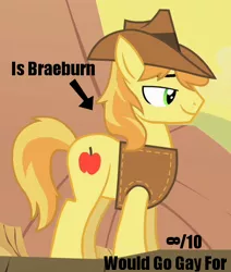 Size: 422x498 | Tagged: 10/10, analysis, braeburn, derpibooru import, everypony's gay for braeburn, safe, solo, source needed, useless source url