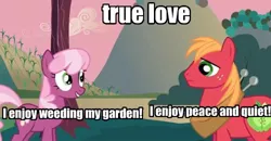 Size: 500x260 | Tagged: safe, derpibooru import, edit, edited screencap, screencap, big macintosh, cheerilee, earth pony, pony, fanfic:cheerilee's garden, fanfic:sweet apple massacre, hearts and hooves day (episode), caption, cheerimac, fanfic art, female, hearts and hooves day, male, mare, shipping, stallion, straight