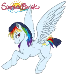 Size: 842x948 | Tagged: artist:toastiepony, derpibooru import, flying, oc, oc:sunrise brisk, offspring, parent:rainbow dash, parent:soarin', parents:soarindash, safe, solo, unofficial characters only