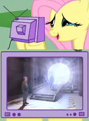 Size: 563x771 | Tagged: daniel jackson, derpibooru import, exploitable meme, fluttershy, jack o'neill, meme, obligatory pony, safe, stargate, tv meme