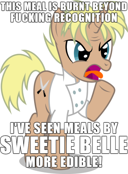 Size: 586x800 | Tagged: safe, derpibooru import, ponified, pony, caption, gordon ramsay, hell's kitchen, image macro, meme, solo, text, vulgar