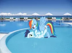 Size: 498x370 | Tagged: safe, artist:sadaslhey, derpibooru import, rainbow dash, soarin', pony, female, irl, male, photo, ponies in real life, shipping, soarindash, straight, swimming pool, vector