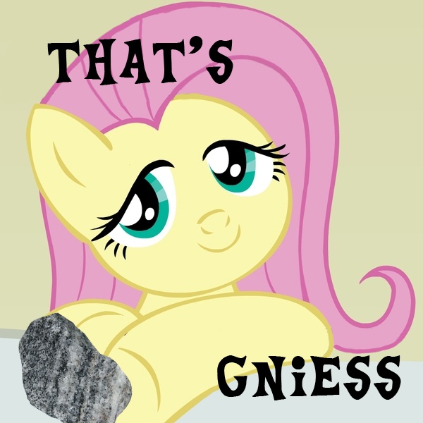 Size: 600x600 | Tagged: artifact, caption, derpibooru import, fluttershy, geology, gneiss, image macro, misspelling, pun, rock, rock pun, safe, solo, text, that's nice