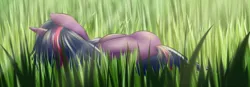 Size: 900x312 | Tagged: dead source, safe, artist:xioade, derpibooru import, twilight sparkle, twilight sparkle (alicorn), alicorn, pony, female, grass, mare, sleeping, solo