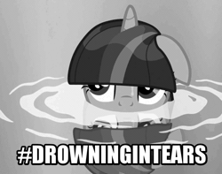 Size: 680x536 | Tagged: animated, caption, derpibooru import, #drowningintears, drowning in tears, gif, gif with captions, hashtag, reaction image, sad, safe, solo, twilight sparkle