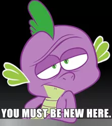 Size: 420x475 | Tagged: caption, derpibooru import, image macro, magic.mov, .mov, reaction image, safe, solo, spike, text, that's spike, you must be new here