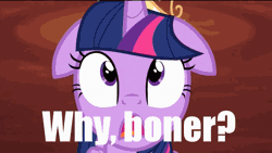 Size: 852x480 | Tagged: suggestive, derpibooru import, twilight sparkle, twilight sparkle (alicorn), alicorn, pony, princess twilight sparkle (episode), season 4, animated, big crown thingy, element of magic, female, floppy ears, impact font, jewelry, mare, meme, reaction image, regalia, reversed, solo, spread wings, why boner, wingboner, wings