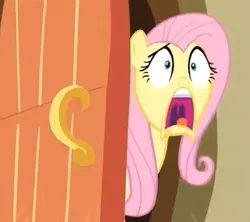 Size: 503x447 | Tagged: derpibooru import, door, face, faic, fluttershy, princess twilight sparkle (episode), reaction image, safe, season 4, solo