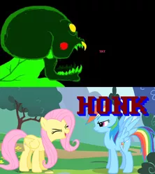 Size: 640x720 | Tagged: safe, derpibooru import, edit, edited screencap, screencap, fluttershy, rainbow dash, pegasus, pony, sonic rainboom (episode), duo, eyes closed, female, flutteryay, homestuck, honk, lord english, mare, the vast honk, the vast yay, yay