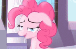 Size: 344x223 | Tagged: safe, derpibooru import, screencap, fluttershy, pinkie pie, pony, princess twilight sparkle (episode), season 4, ahegao, animated, cleaning, creamy creamy frosting, drool, exploitable, gif, handkerchief, in love, open mouth, rag, tongue out