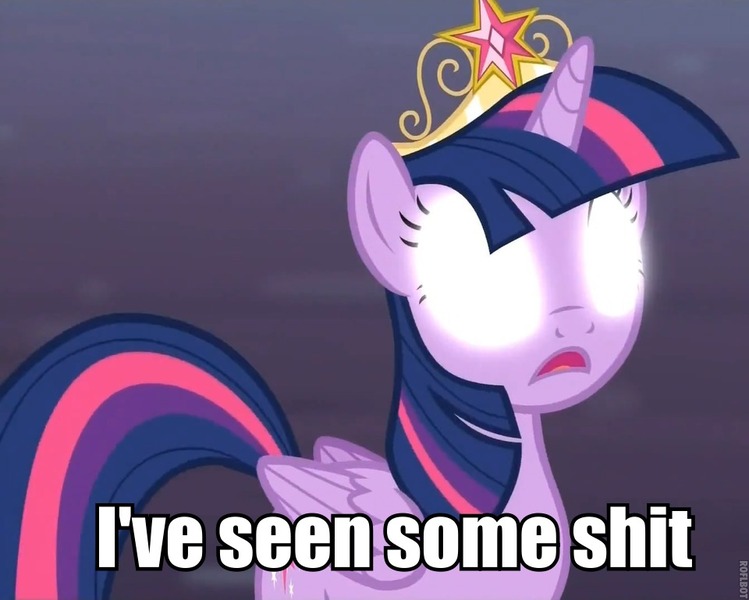 Size: 960x769 | Tagged: safe, derpibooru import, twilight sparkle, twilight sparkle (alicorn), alicorn, pony, princess twilight sparkle (episode), caption, female, glowing eyes, image macro, mare, solo, text, vulgar