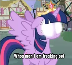 Size: 509x465 | Tagged: safe, derpibooru import, twilight sparkle, twilight sparkle (alicorn), alicorn, pony, princess twilight sparkle (episode), big crown thingy, caption, element of magic, female, freakout, glowing eyes, image macro, jewelry, mare, regalia, solo, text