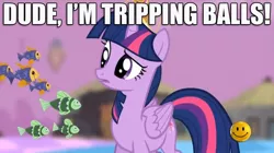 Size: 770x430 | Tagged: safe, derpibooru import, twilight sparkle, twilight sparkle (alicorn), alicorn, pony, princess twilight sparkle (episode), season 4, caption, female, image macro, mare, solo, text