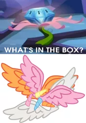 Size: 540x765 | Tagged: safe, derpibooru import, applejack, fluttershy, pinkie pie, rainbow dash, rarity, alicorn, pony, princess twilight sparkle (episode), department of redundancy department, everyone is an alicorn, exploitable meme, horn, horns, meme, mystery box of plot importance, what's in the box?, wings, xk-class end-of-the-world scenario