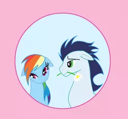 Size: 1024x950 | Tagged: safe, artist:tsand106, derpibooru import, daisy, flower wishes, rainbow dash, soarin', female, flower, flower in mouth, male, mouth hold, shipping, soarindash, straight