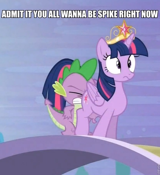 Size: 736x806 | Tagged: safe, derpibooru import, edit, edited screencap, screencap, spike, twilight sparkle, twilight sparkle (alicorn), alicorn, pony, princess twilight sparkle (episode), bronybait, butt, caption, faceful of ass, female, male, mare, meme, out of context, plot, roflbot, shipping, spike running into twilight's rear, straight, twispike