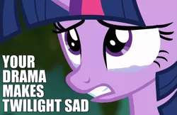 Size: 925x600 | Tagged: safe, derpibooru import, twilight sparkle, twilight sparkle (alicorn), alicorn, pony, princess twilight sparkle (episode), caption, crying, drama, image macro, meme, reaction image, sad, solo, text