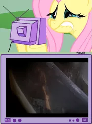 Size: 561x753 | Tagged: alien, alien 3, alien (franchise), derpibooru import, exploitable meme, fluttercry, fluttershy, grimdark, meme, newt, obligatory pony, sad, tv meme