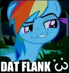 Size: 1409x1504 | Tagged: safe, derpibooru import, edit, edited screencap, screencap, rainbow dash, pony, daring don't, :3, caption, dat butt, faic, female, grin, image macro, lip bite, low quality, mare, meme, smiling, smirk, smug, smugdash, solo, text