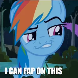 Size: 598x600 | Tagged: caption, daring don't, derpibooru import, faic, image macro, rainbow dash, season 4, smug, smugdash, solo, suggestive, text