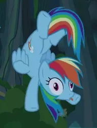 Size: 377x493 | Tagged: safe, derpibooru import, screencap, rainbow dash, pegasus, pony, daring don't, :p, animation error, backbend, derp, female, flying, looking at you, mare, rainbow derp, silly, silly pony, solo, tongue out, wide eyes