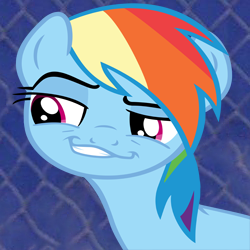 Size: 250x250 | Tagged: costanza face, daring don't, derpibooru import, faic, ishygddt, rainbow dash, safe, smug, smugdash, solo