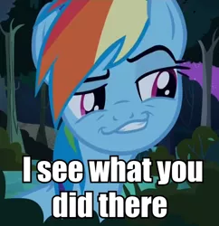 Size: 660x681 | Tagged: caption, daring don't, derpibooru import, faic, image macro, i see what you did there, rainbow dash, safe, screencap, season 4, smug, smugdash, solo, text