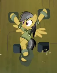 Size: 301x381 | Tagged: anatomically incorrect, daring do, daring don't, deathtrap, derpibooru import, fortress of talacon, incorrect leg anatomy, restrained, safe, screencap, solo, surprised