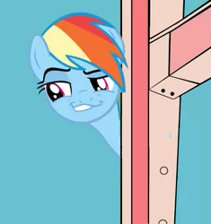 Size: 565x600 | Tagged: daring don't, derpibooru import, faic, forced meme, meme, rainbow dash, safe, smug, smugdash, solo, that fucking cat, that fucking dash