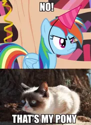 Size: 697x960 | Tagged: caption, daring don't, derpibooru import, grumpy cat, grumpy dash, meme, national random holiday party day, rainbow dash, safe, that's my pony, that's my x