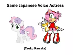 Size: 800x600 | Tagged: amy rose, crossover, derpibooru import, exploitable meme, meme, safe, same voice actor, slowpoke, sonic the hedgehog (series), sweetie belle, taeko kawata, video game, we know