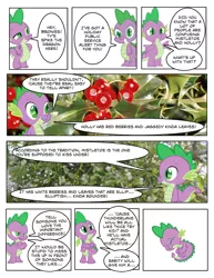 Size: 1000x1294 | Tagged: christmas, comic, crying, derpibooru import, fetal position, hearth's warming eve, holiday, holly, holly mistaken for mistletoe, mistletoe, rarity, safe, spike