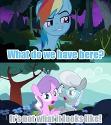 Size: 500x563 | Tagged: buh, caption, colored text, creepy, daring don't, derpibooru import, diamond tiara, edit, edited screencap, everfree forest, faic, female, flight to the finish, flower, glasses, image macro, implied kissing, implied shipping, jewelry, lesbian, necklace, obsession, out of context, pearl necklace, rainbow dash, safe, screencap, shipper on deck, shipping, silver spoon, silvertiara, smug, smugdash, text, tiara, tree