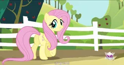 Size: 1152x608 | Tagged: bats!, butt, caption, derpibooru import, edit, edited screencap, fluttershy, meme, plot, safe, screencap, solo, youtube caption