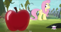 Size: 1150x607 | Tagged: bats!, caption, derpibooru import, edit, edited screencap, fluttershy, meme, safe, screencap, solo, youtube caption