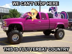 Size: 592x451 | Tagged: safe, derpibooru import, applejack, twilight sparkle, pony, bats!, applejack truck, bat country, caption, cardboard cutout, cardboard twilight, fear and loathing in las vegas, image macro, irl, photo, ponies in real life, text, truck, we can't stop here this is bat country