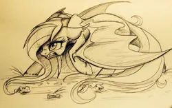 Size: 1023x643 | Tagged: safe, artist:probablyfakeblonde, derpibooru import, fluttershy, bat pony, pony, bats!, action pose, angry, badass, bat ponified, feral, flutterbadass, flutterbat, race swap, sketch, solo, traditional art