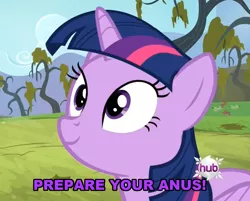 Size: 1166x936 | Tagged: suggestive, derpibooru import, edit, edited screencap, screencap, twilight sparkle, twilight sparkle (alicorn), alicorn, pony, bats!, >rape, caption, cropped, faic, female, image macro, implied rape, mare, meme, prepare your anus, smiling, solo, solo female, text