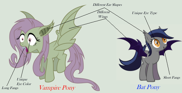 Size: 597x304 | Tagged: safe, derpibooru import, fluttershy, oc, oc:echo, bat, bat pony, fruit bat, pony, vampire, vampire fruit bat, bats!, bat ponified, comparison, flutterbat, race swap