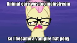 Size: 518x291 | Tagged: safe, derpibooru import, fluttershy, bat pony, pony, bats!, alternate hairstyle, bat ponified, caption, flutterbat, glasses, hipster, hipstershy, image macro, meme, race swap, solo, text