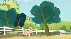 Size: 640x355 | Tagged: bats!, caption, derpibooru import, edit, edited screencap, fluttershy, meme, mlp-captions, safe, screencap, solo, youtube caption