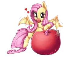 Size: 1280x960 | Tagged: safe, artist:kkuyo, derpibooru import, fluttershy, bat, bat pony, pony, bats!, animal, apple, bat ponified, cute, flutterbat, food, giant apple, heart, mouth hold, race swap, shyabates, shyabetes, solo, tumblr