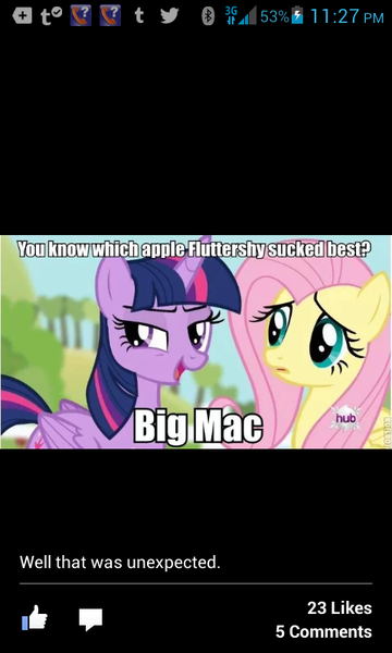 Size: 480x800 | Tagged: safe, derpibooru import, fluttershy, twilight sparkle, twilight sparkle (alicorn), alicorn, pony, caption, female, image macro, implying, mare, text