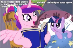 Size: 960x640 | Tagged: safe, deleted from derpibooru, derpibooru import, princess cadance, twilight sparkle, alicorn, pony, unicorn, bedtime story, book, cadance's bedtime stories, caption, duo, exploitable meme, female, filly, image macro, looking up, meme, merlin's shop of mystical wonders, mystery science theater 3000, text, younger