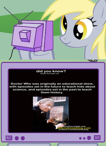 Size: 511x700 | Tagged: safe, derpibooru import, derpy hooves, pegasus, pony, did you know?, doctor who, exploitable meme, female, mare, meme, obligatory pony, tumblr, tv meme