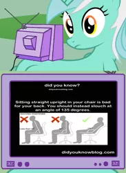 Size: 563x769 | Tagged: derpibooru import, did you know?, exploitable meme, human, lyra heartstrings, meme, obligatory pony, safe, sitting, tumblr, tv meme